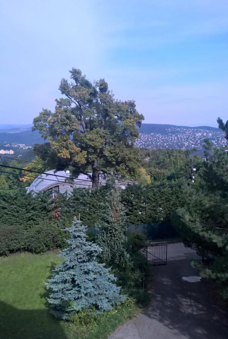 Romantic Two Bedroom Apartments In The Hills Of Budapest With Private Parking Esterno foto